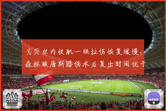 戈贝尔内收肌一级拉伤恢复缓慢,森林狼唐斯膝伤术后复出时间优于队友