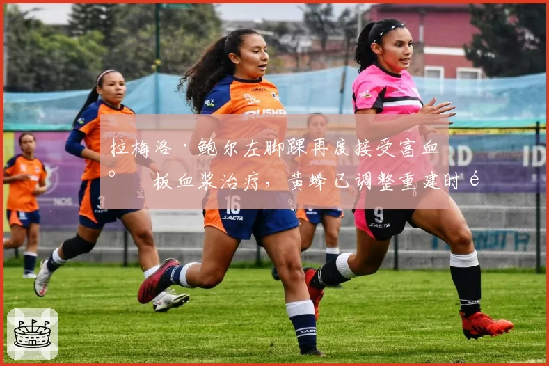 拉梅洛·鲍尔左脚踝再度接受富血小板血浆治疗，黄蜂已调整重建时间表