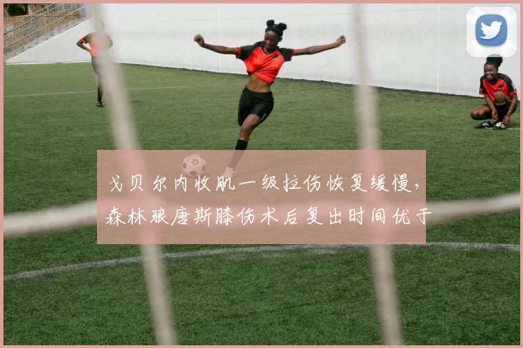 戈贝尔内收肌一级拉伤恢复缓慢,森林狼唐斯膝伤术后复出时间优于队友
